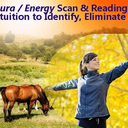 Psychic Readings of Portland - Medical Intuition & REIKI Energy Healing to Get Unstuck