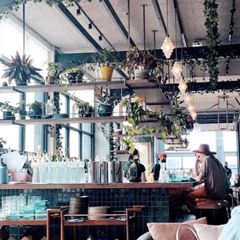 Cabra - Airy bar area - Peruvian Near Me - Chicago, Illinois Cabra - Airy bar area - Peruvian Near Me - Chicago, Illinois