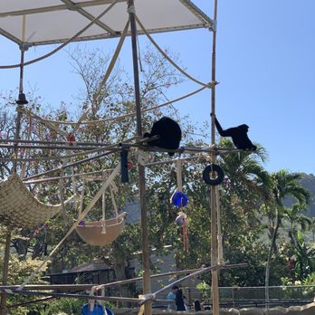 Honolulu Zoo - Zoos Near Me - Honolulu, Hawaii