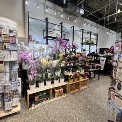 Plum Market