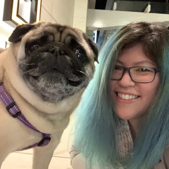 Vann Studio - Hair now after three months, plus bonus pug! - Hair Salons Near Me - Seattle, Washington