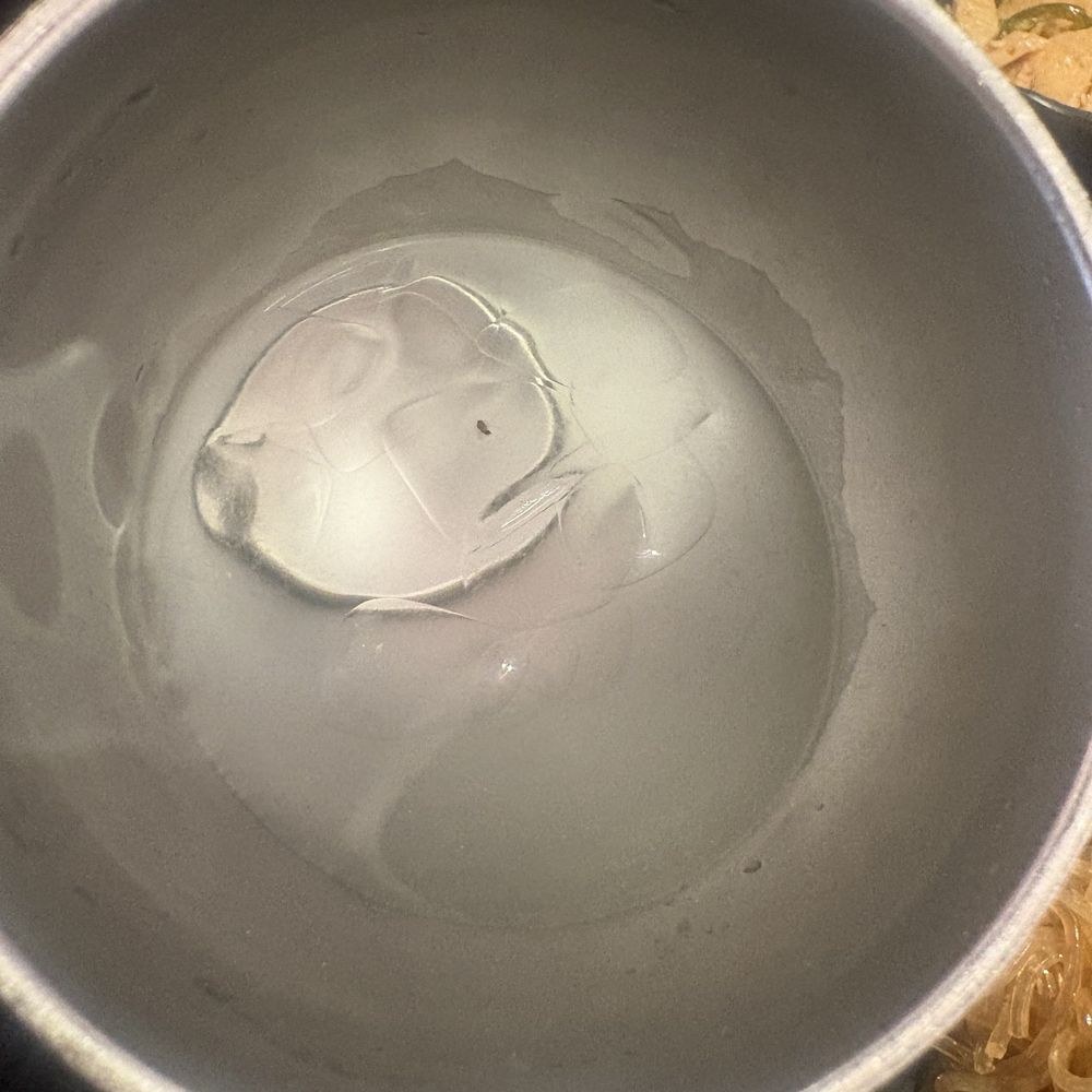 fly or some sort of insect in my water fly or some sort of insect in my water