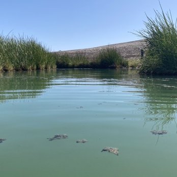 Delight's Hot Springs - Mud hole hot springs - Resorts Near Me - Tecopa, California Delight's Hot Springs - Mud hole hot springs - Resorts Near Me - Tecopa, California