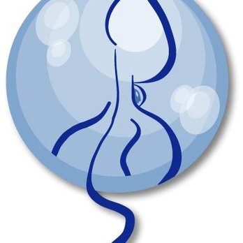 Squidco - Biz Logo - Music & DVDs Near Me - Wilmington, North Carolina Squidco - Biz Logo - Music & DVDs Near Me - Wilmington, North Carolina