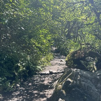 Twin Falls Trailhead - Trail - Hiking Near Me - North Bend, Washington