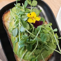 Avocado Toast