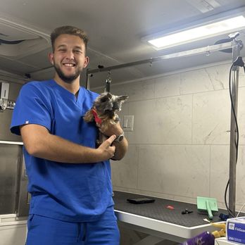 Pet Grooming Mobile Spa - Pet Groomers Near Me Pet Grooming Mobile Spa - Pet Groomers Near Me