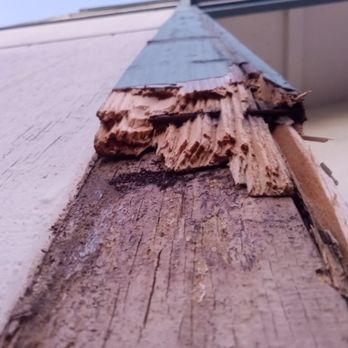 Palm Construction - Dry rot and termite damage which extended through the entire outer structures - Masonry/Concrete Near Me - San Lorenzo, California Palm Construction - Dry rot and termite damage which extended through the entire outer structures - Masonry/Concrete Near Me - San Lorenzo, California