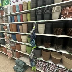 Dollar Tree - Lots of really high quality planters for $1.25 each!