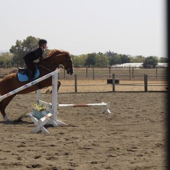 Ligara Farms - Jumping my young horse in the Ligara arena during another great lesson with Susan! - Horseback Riding Near Me - Morgan Hill, California