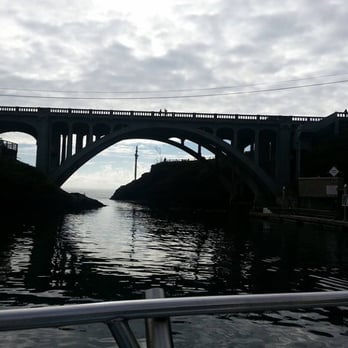 Tradewinds Charters - Whale Watching & Fishing - Oregon - Boat Charters Near Me - Depoe Bay, Oregon