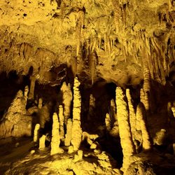Florida Caverns State Park - Typical cave features like mineral columns, soda straws and stalagmites/stalactites.