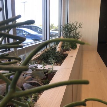 Tealux® Cafe - Bubble Tea Near Me - Norfolk, Virginia