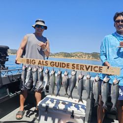 Big Al's Guide Service - New Melones lake limits 7/2025