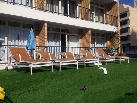 Bunk Surfers Paradise by null