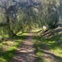 Bandini Canyon Trail Park