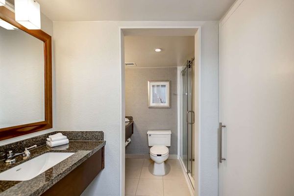 Sonesta Charlotte Lower South End by null