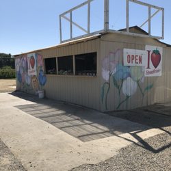 Johns Strawberry Patch