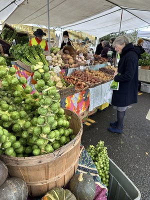 Hillsdale Farmers' Market by null