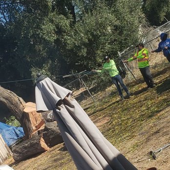 Bernabe Tree Service - All of the limbs were tied off to ptotect the building, fence and car. It was a feat of rigging engineering. - Tree Services Near Me - Riverside, California