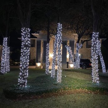 Your Favorite Night Light - tree - Holiday Decorations Near Me Your Favorite Night Light - tree - Holiday Decorations Near Me