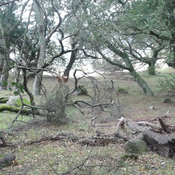 Las Trampas Regional Wilderness - Parks Near Me - San Ramon, California Las Trampas Regional Wilderness - Parks Near Me - San Ramon, California