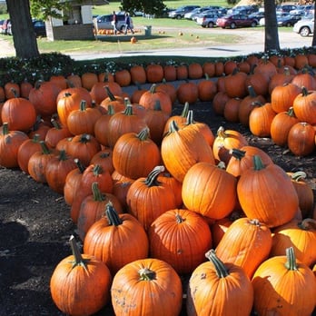 Cider Hill Farm - Pick Your Own Farms Near Me - Amesbury, Massachusetts Cider Hill Farm - Pick Your Own Farms Near Me - Amesbury, Massachusetts