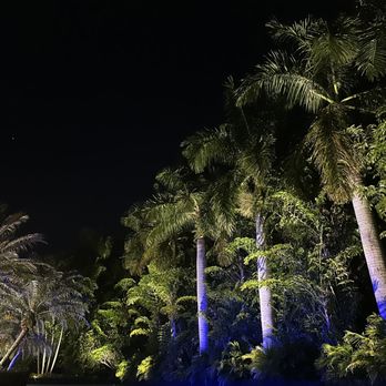 Turf Grass & Landscape - palm trees with blue lights - Landscaping Near Me Turf Grass & Landscape - palm trees with blue lights - Landscaping Near Me