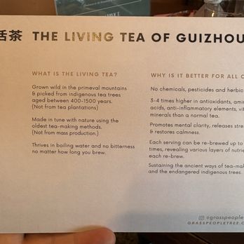 Fox Spirit Tea - Tea Rooms Near Me - Daytona Beach, Florida Fox Spirit Tea - Tea Rooms Near Me - Daytona Beach, Florida
