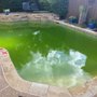 Photo of Swim Solutions Pools