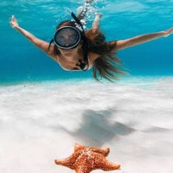 Vive Cancún Tours & Travel - Tour Cozumel El Cielo, traslado desde Cancún: https://vivecancun.com/tours-cancun-snorkel-arrecifes-el-cielo.php