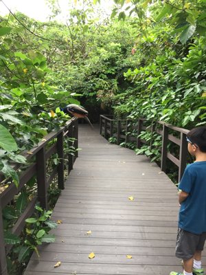 Shoushan Zoo by null