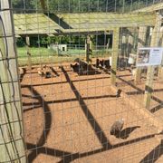 YODER’S COUNTRY MARKET - 137 Photos & 87 Reviews - 2105 S Seminole Trl ...