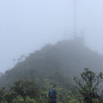Wiliwilinui Ridge Trail - The top structure - Hiking Near Me Wiliwilinui Ridge Trail - The top structure - Hiking Near Me