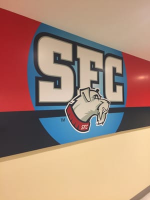 St. Francis College by null