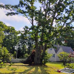 Scalla - Tree down? Let us help you clean up your problem