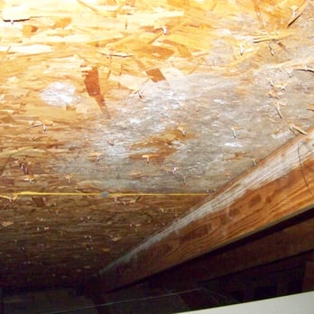Happier Home Inspections - Leak discovered in attic. - Home Inspectors Near Me - Plano, Texas Happier Home Inspections - Leak discovered in attic. - Home Inspectors Near Me - Plano, Texas