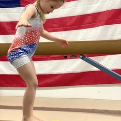 Dansville Gymnastics