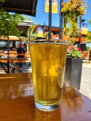Arvada Beer Garden by null