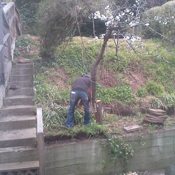 Red Oak Landscape - This was our garden before they started. - Landscaping Near Me - San Bruno, California