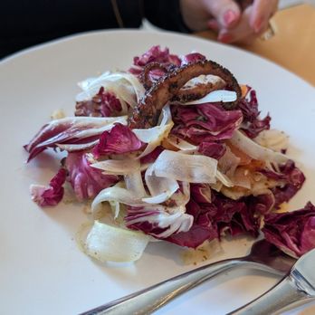 Nine-Ten - Octopus salad - Bars Near Me - La Jolla, California Nine-Ten - Octopus salad - Bars Near Me - La Jolla, California