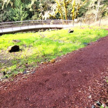 Deschutes Falls Park - Barked trail down to right side to the falls/overlook of falls. - Parks Near Me - Yelm, Washington Deschutes Falls Park - Barked trail down to right side to the falls/overlook of falls. - Parks Near Me - Yelm, Washington