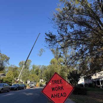 Cabanas Tree Expert - Tree Services Near Me - Ambler, Pennsylvania Cabanas Tree Expert - Tree Services Near Me - Ambler, Pennsylvania