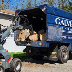 Galvez Tree Service