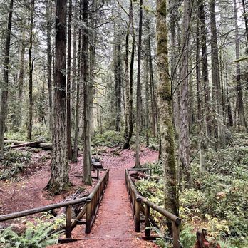Grand Forest - Hiking Near Me - Bainbridge Island, Washington