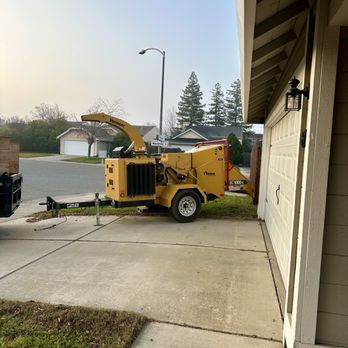 Golden Roots Tree Care - Clean up - Tree Services Near Me - Sacramento, California Golden Roots Tree Care - Clean up - Tree Services Near Me - Sacramento, California