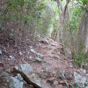 Annaly Bay Tide Pools - View of the trail to the tide pools - Beaches Near Me