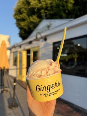 Ginger's Divine Ice Creams by null