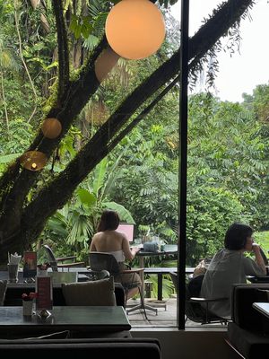 PS.Cafe Harding Road by null