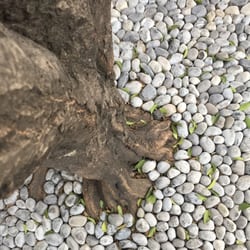 Juliana - La jardinera en la entrada con piedras de rio.